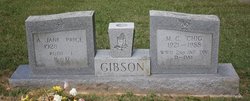 A Jane <I>Price</I> Gibson 