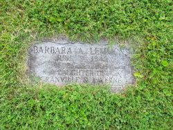 Barbara Ann Lemmons 