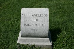 Alice Anderson 
