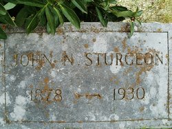 John Nicholas Sturgeon 