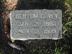 Bertram Jay Covey 