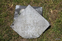 Susie M Dickey 