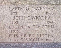 Gaetano Cavicchia 