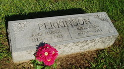 Alvie Marion Perkinson 