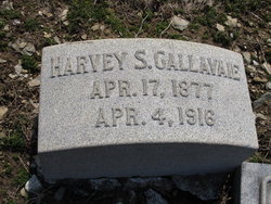 Harvey S. Callavaie 