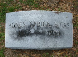 Agnes Josephine <I>Sprick</I> Hicks 