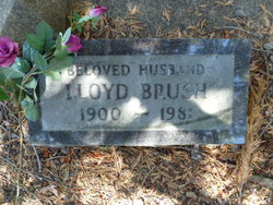 Lloyd Seymour Brush 