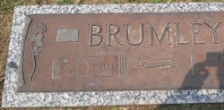 Austin Brumley 