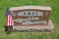 Victor W Amos 