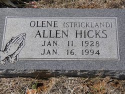 Olene Ira “Polly” <I>Strickland</I> Allen Hicks 