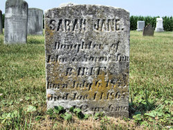 Sarah Jane Barkey 