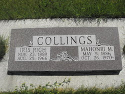 Iris <I>Rich</I> Collings 