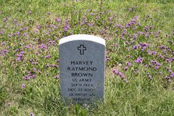 Harvey Raymond Brown 