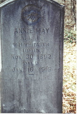 Annie May <I>Adams</I> Whitaker 