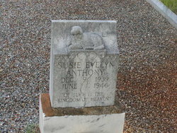 Susie Evelyn Anthony 