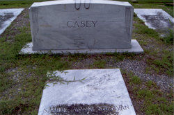 William Simpson Casey Sr.