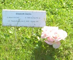 Elizabeth <I>Hill</I> Banks 