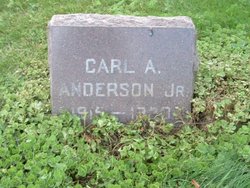 Carl Adolf Anderson Jr.