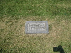 Barbara Ann Arts 