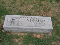 Wayne Charles Westhydeman 