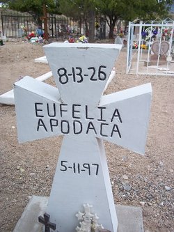 Eufelia <I>Valencia</I> Apodaca 