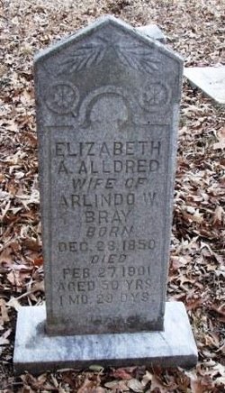 Elizabeth A. “Lizzie” <I>Allred</I> Bray 