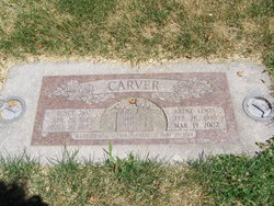 Royce Jan <I>Nelson</I> Carver 