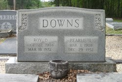 Roy D Downs 