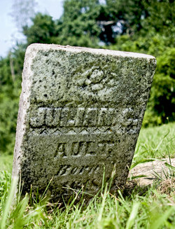 Julian C. Ault 