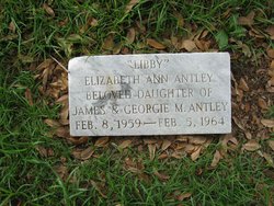 Elizabeth Ann Antley 