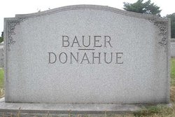 Bauer 