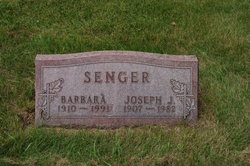 Joseph J Senger 