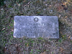 Wilson Ashley Jay 