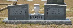 Selma <I>Wernli</I> Hester 