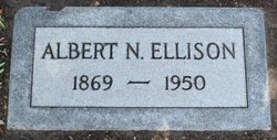 Albert Newton Ellison 