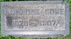 Ambrose Cone 