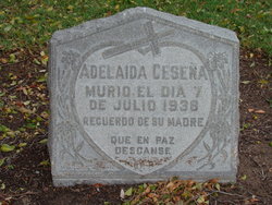 Adelaida Cesena 