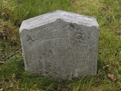 Lee M Alley 
