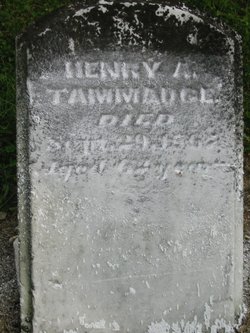 Henry A Tammadge 