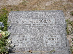 William Ballingham 