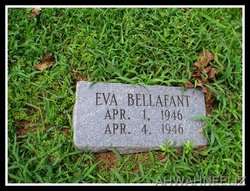 Eva Bellafant 