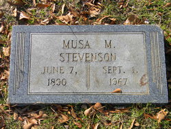 Musa <I>Musgrove</I> Stevenson 