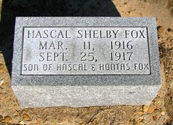 Hascal Shelby Fox 