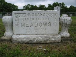 James Albert Meadows 