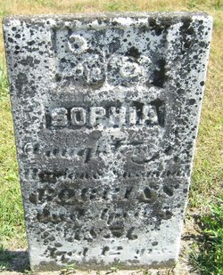 Sophia Robbins 