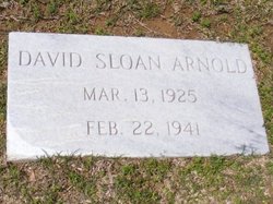 David Sloan Arnold 