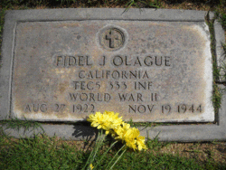Fidel J. Olague 