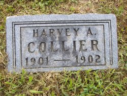 Harvey A. Collier 