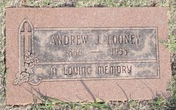 Andrew J. Looney 