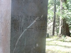 Roy David Carlson 